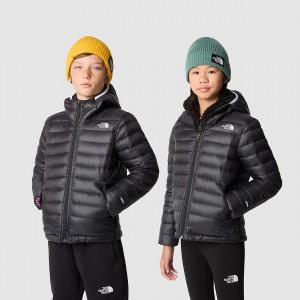 The North Face Aconcagua Hooded Down Jacket Tnf Black - Tnf White | OUFNRS-428