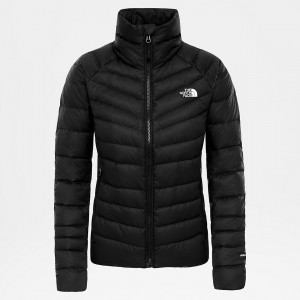 The North Face Ashton Full-Zip Jacket Tnf Black - Tnf White | FTLVEZ-804