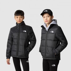 The North Face Circular Synthetic Jacket Tnf Black - Tnf Black | CPALKO-914