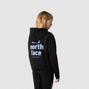 The North Face Graphic Hoodie Tnf Black | QCJDRP-094