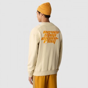 The North Face Graphic Sweater Gravel | WEHDMV-946