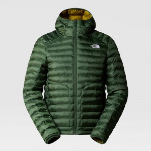 The North Face Huila Synthetic Insulation Hooded Jacket Pine Needle - Sulphur Moss | PWBUHR-714