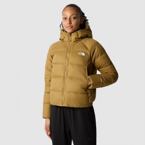 The North Face Hyalite Down Hooded Jacket British Khaki | MZRDCO-073