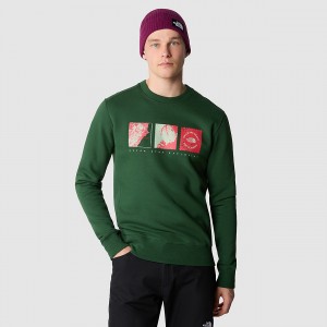 The North Face Outdoor Graphic Sweater Pine Needle | VUPWBR-378