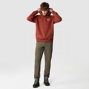 The North Face Project Trousers New Taupe Green | ZEHGQV-154