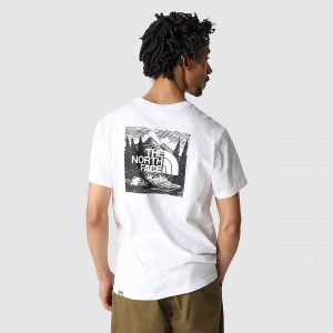 The North Face Redbox Celebration T-Shirt Tnf White | CBOWDA-187