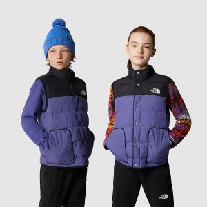 The North Face Synthetic Insulation Lifestyle Gilet Cave Blue - Tnf Black | LXYPUH-294