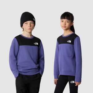 The North Face Tech Sweater Cave Blue | UTYMLA-460