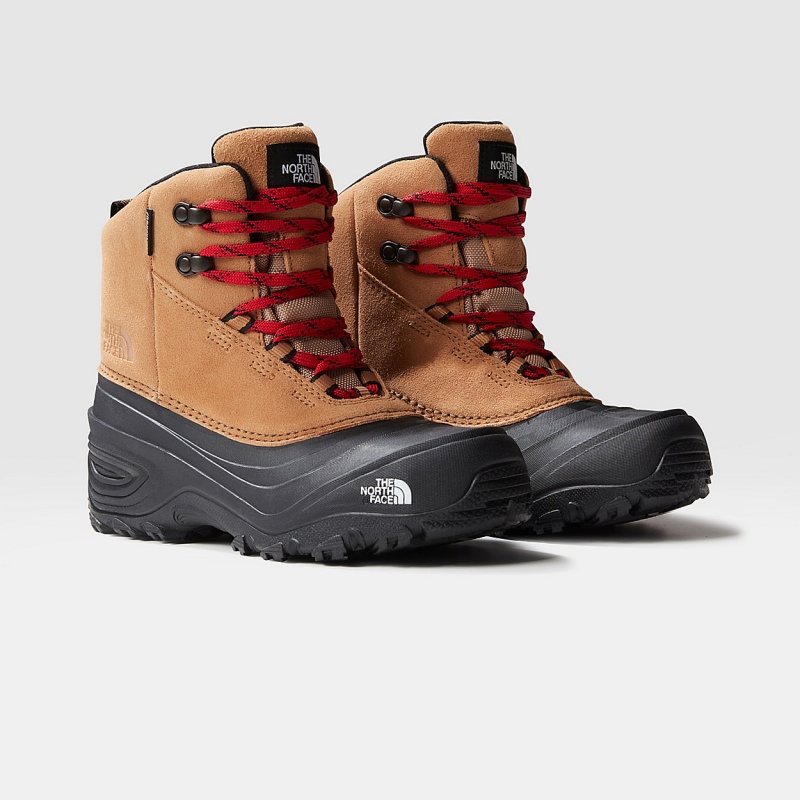 The North Face Chilkat V Lace Waterproof Hiking Boots Almond Butter/Tnf Black | TLZYOV-354