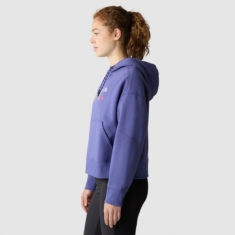 The North Face Outdoor Graphic Hoodie Cave Blue | LKFSVA-742