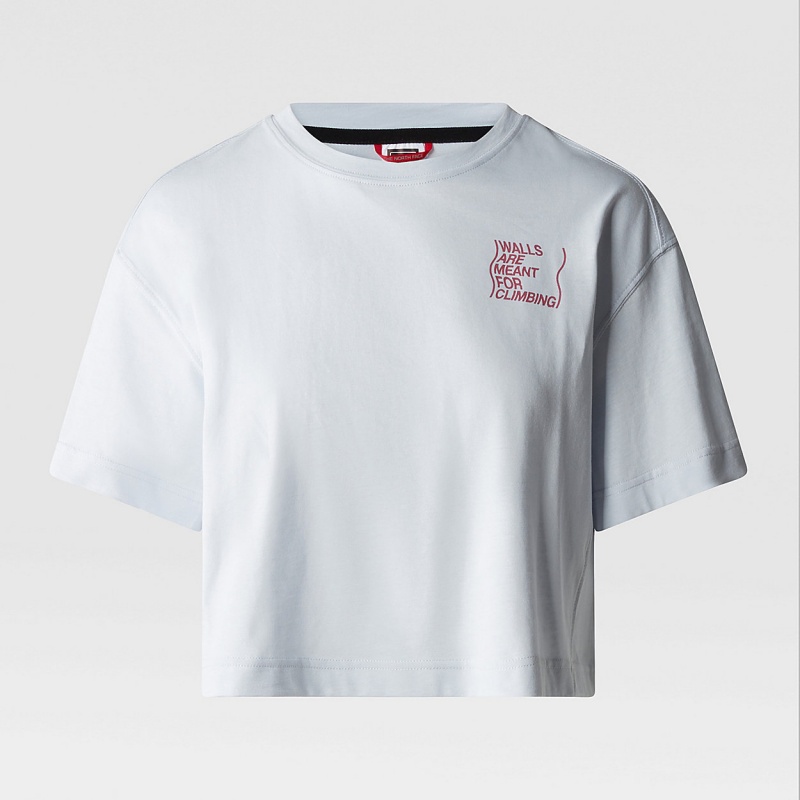 The North Face Outdoor Graphic T-Shirt Dusty Periwinkle | ACKOJH-803