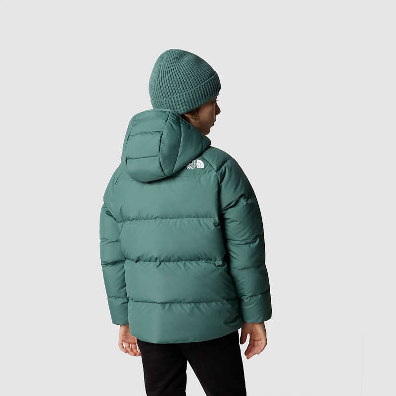 The North Face Reversible North Down Hooded Jacket Dark Sage | DQTCGR-085