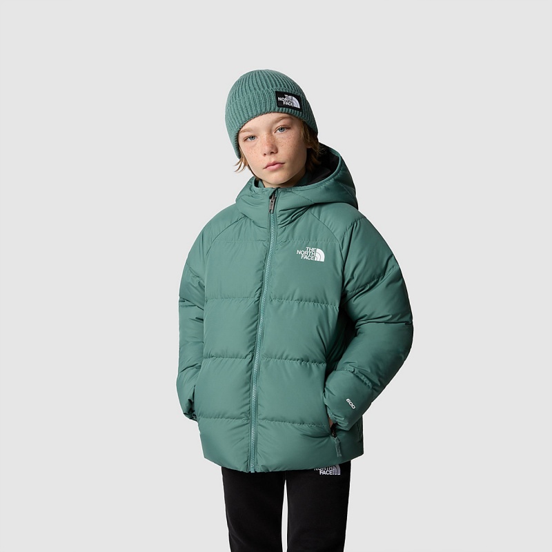 The North Face Reversible North Down Hooded Jacket Dark Sage | DQTCGR-085