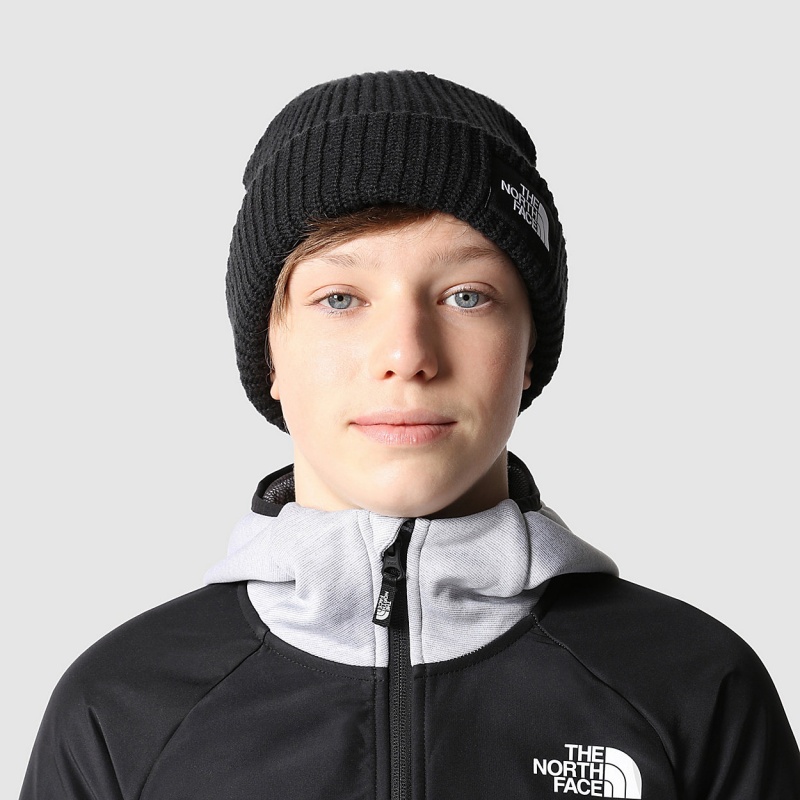 The North Face Salty Dog Beanie Tnf Black | WUPMQK-297