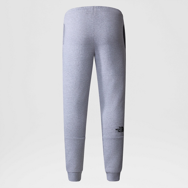 The North Face Slim Fit Joggers Tnf Light Grey Heather | ZGPODL-463
