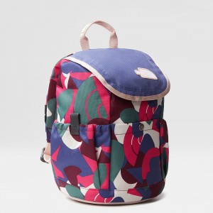 The North Face Mini Explorer Backpack Mr. Pink Big Abstract Print - Cave Blue - Pink Moss | LQSEDF-476